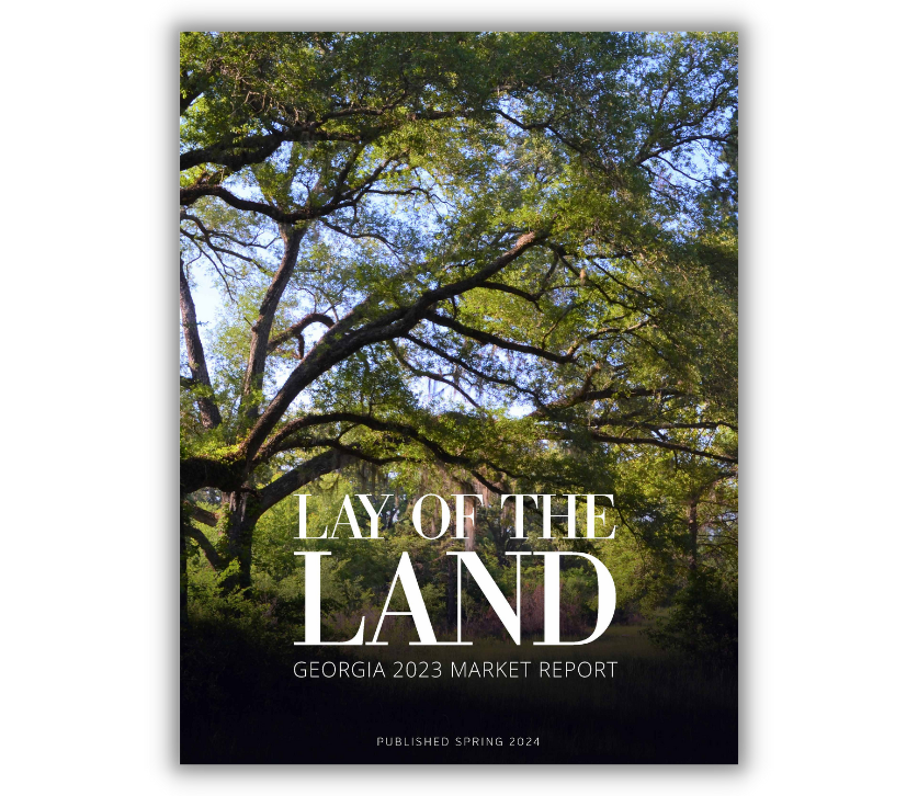 Download the Lay of the Land Georgia Market Report