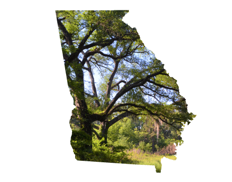Lay of the Land Georgia Conference Logo