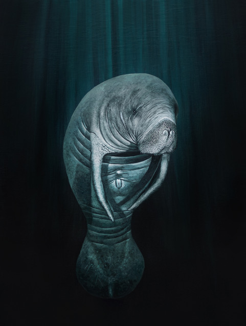 painting of a manatee swimming in sunlit water