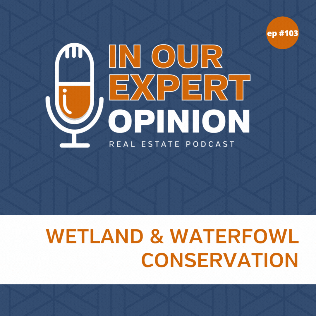 Wetland & Waterfowl Conservation