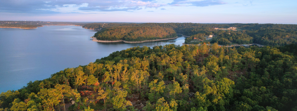 aerial photo of timberland separated by rivers