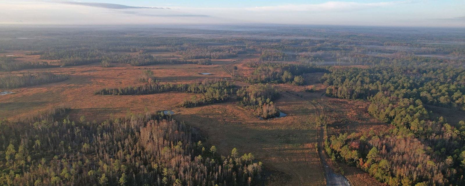 large timber tract with small ponds