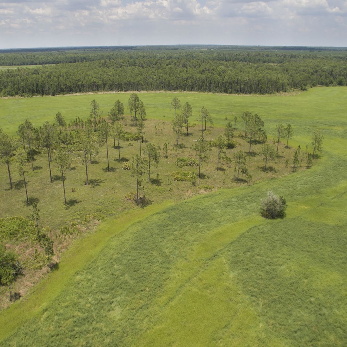 Saunders Brokers Over $70 Million in Conservation Deals to Preserve Florida's Rural Land in 2023