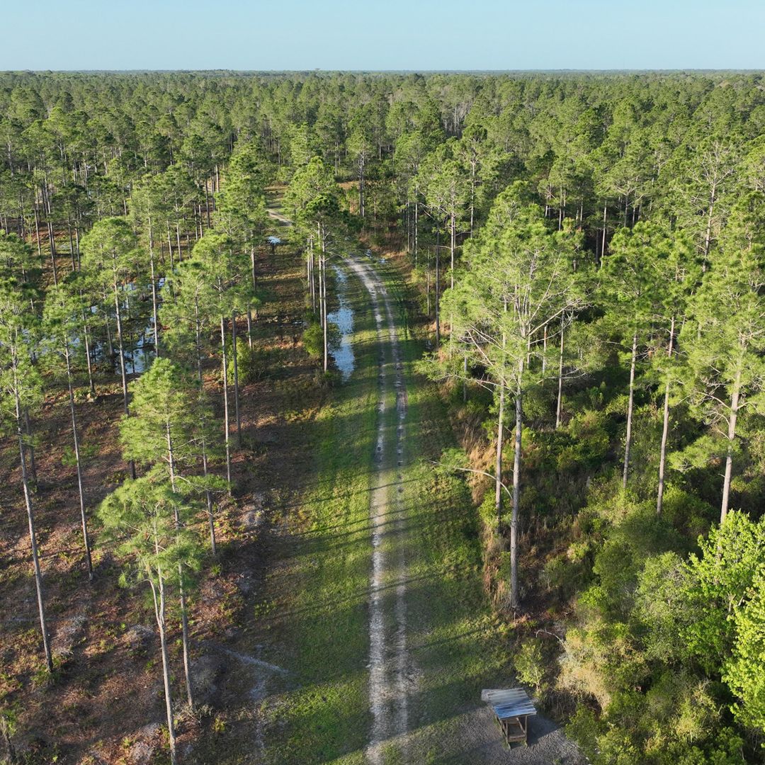 SRD's Dean Saunders Closes Over $36M in Conservation Easement Deals to Protect Florida's Rural Land