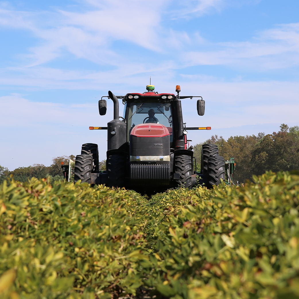 Looking Ahead: The State of Southeastern Agriculture