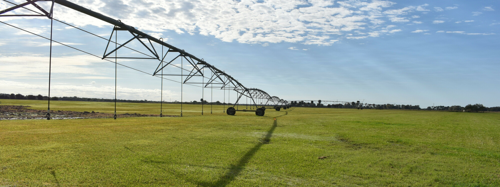 sod farm in osceola county florida