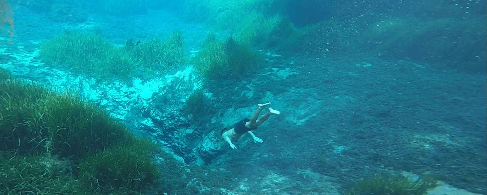 Swimming in Florida Springs