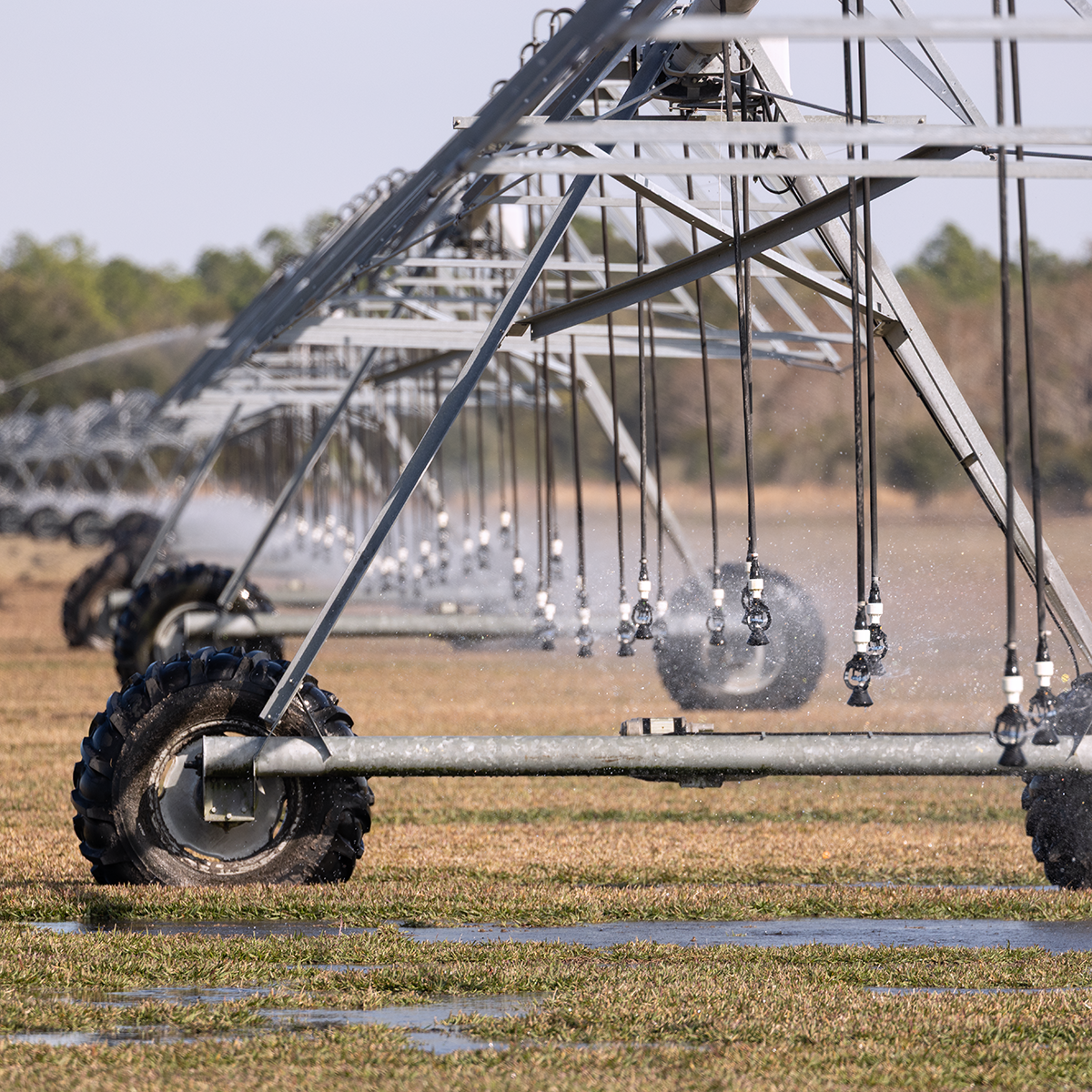 Florida Water and Agricultural Land Management