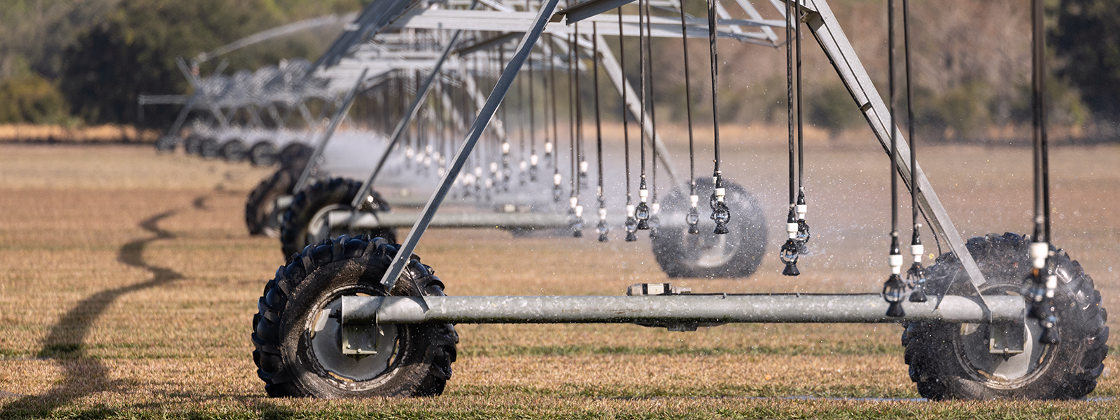 center pivot irrigation