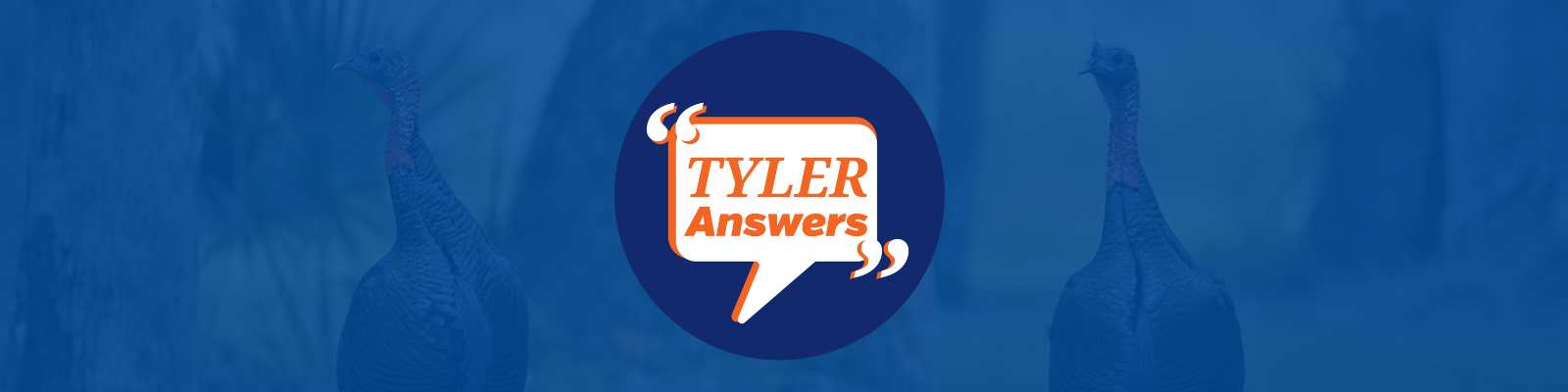 tyler answers conservation turkeys