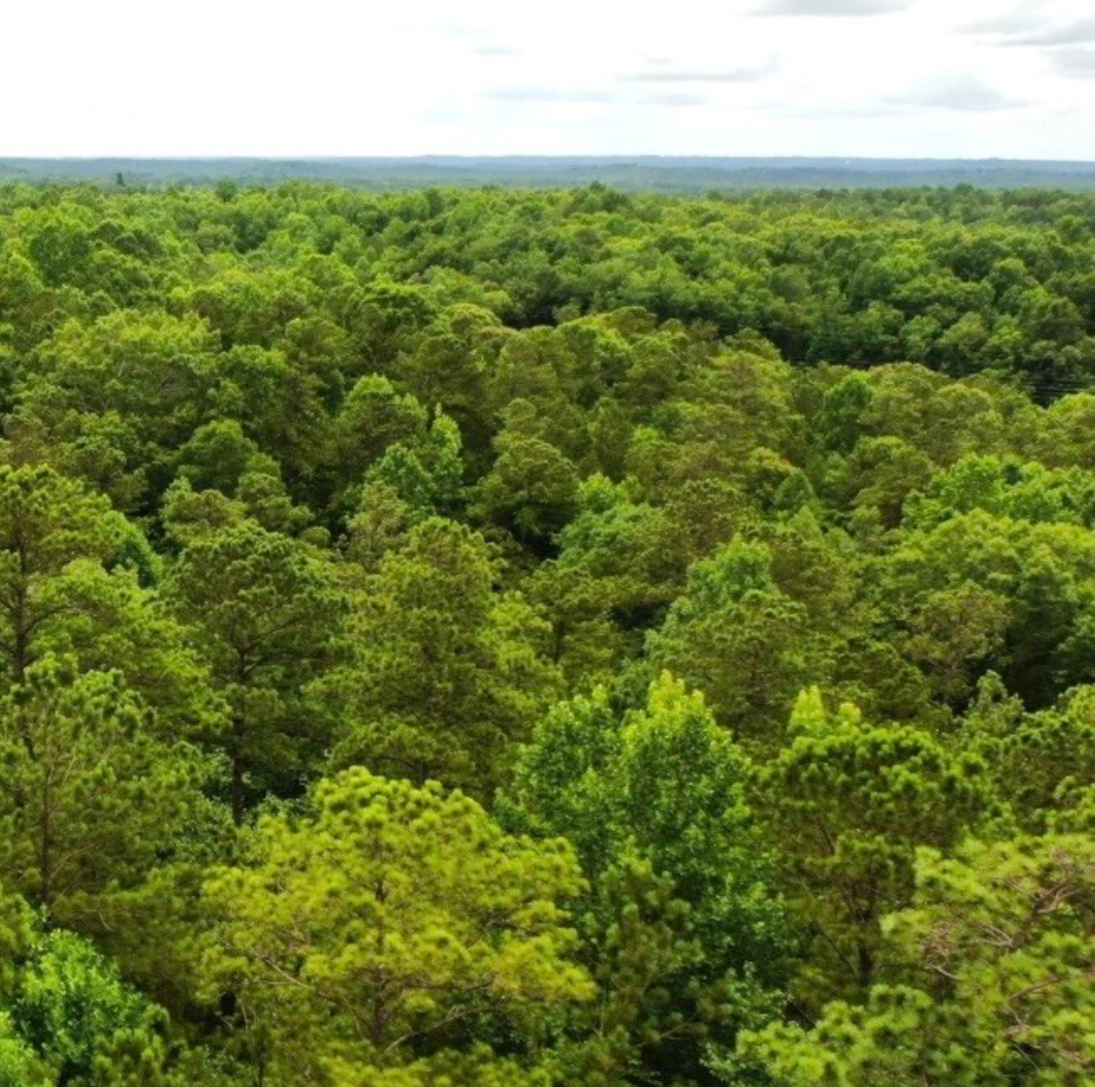 Selling Family Land: What Landowners Should Consider Before Selling Inherited Property