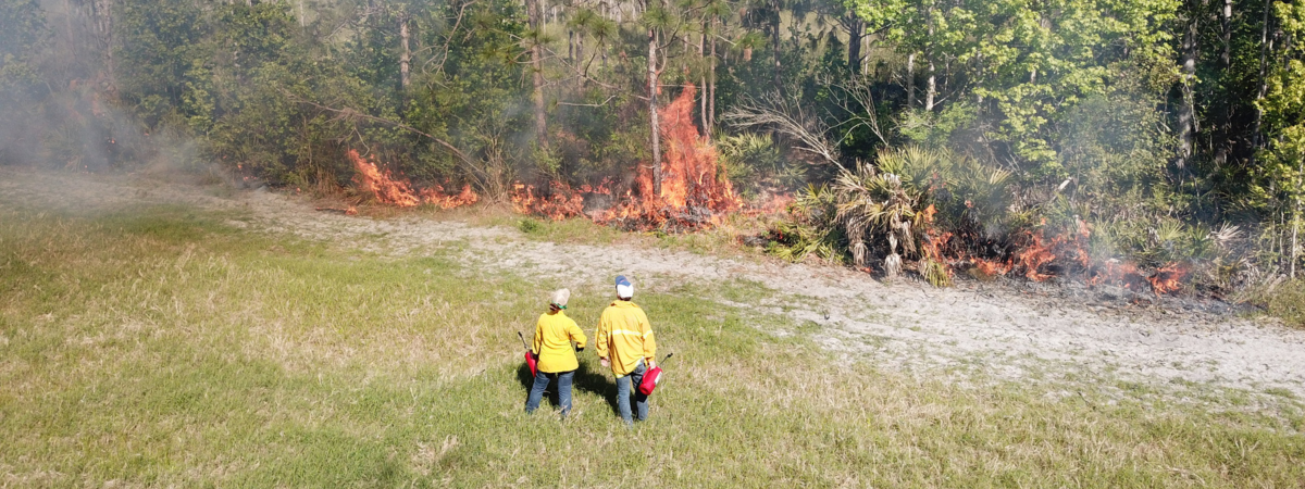 two burners watching prescribed fire